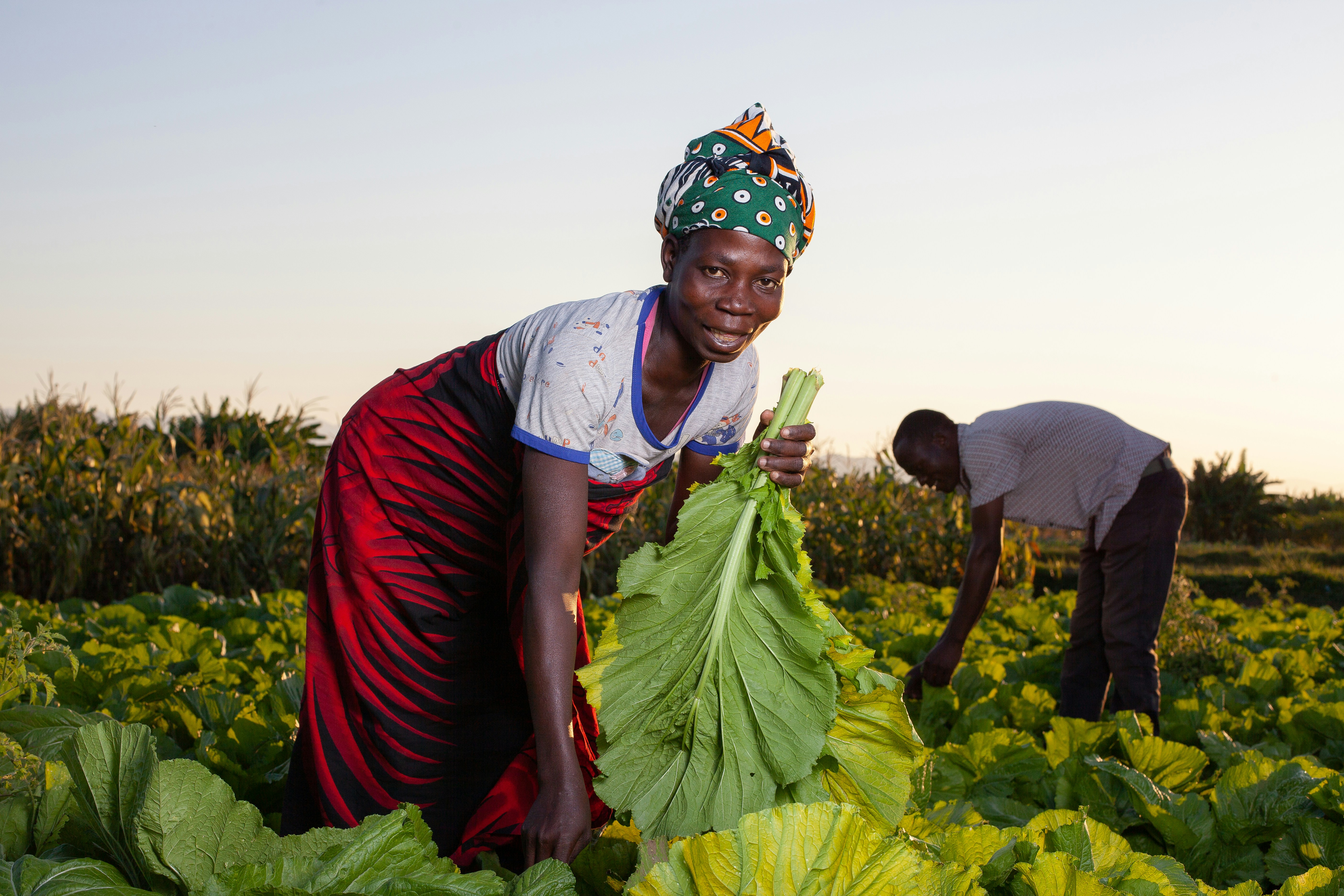 Women planting crops